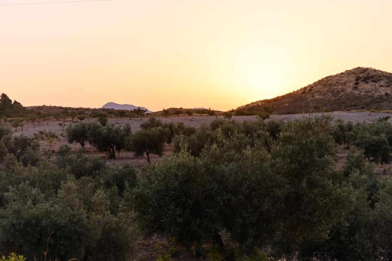 Гостьовий будинок Complejo Rural Sol De Taberno Екстер'єр фото