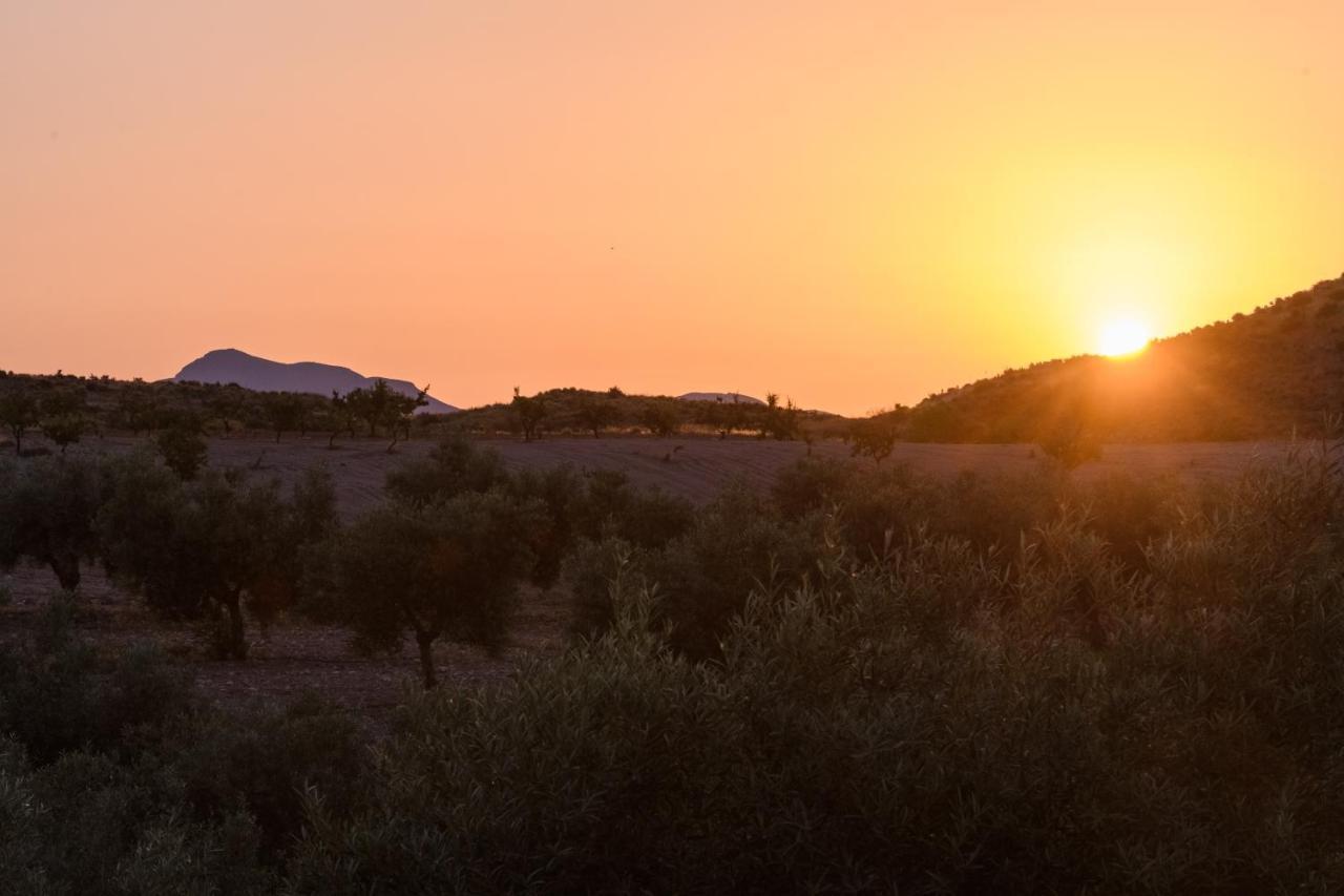 Гостьовий будинок Complejo Rural Sol De Taberno Екстер'єр фото