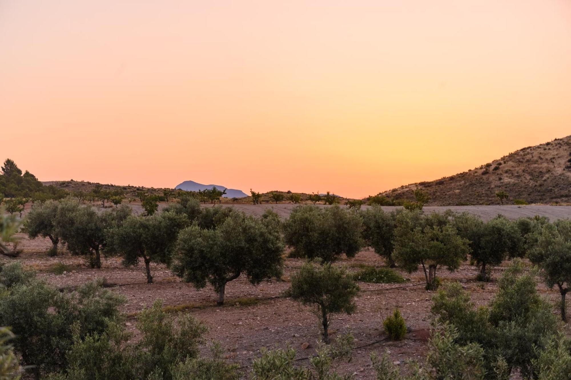 Гостьовий будинок Complejo Rural Sol De Taberno Екстер'єр фото